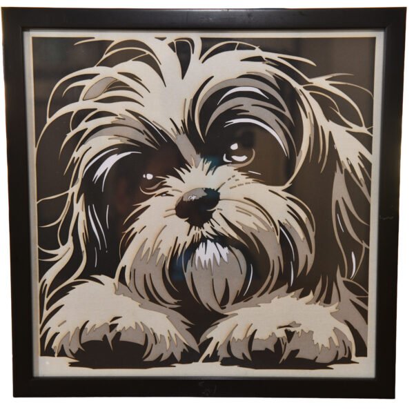 Shih Tzu expressif